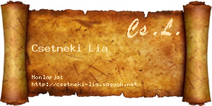 Csetneki Lia névjegykártya